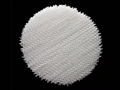 塑料規(guī)整填料圖片4