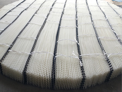 塑料規(guī)整填料案例圖片4